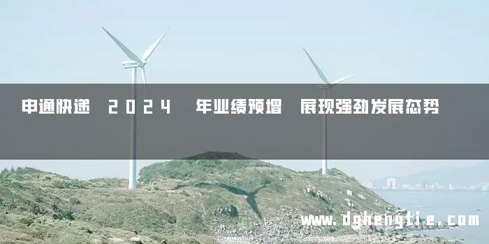 申通快递 2024 年业绩预增 展现强劲发展态势
